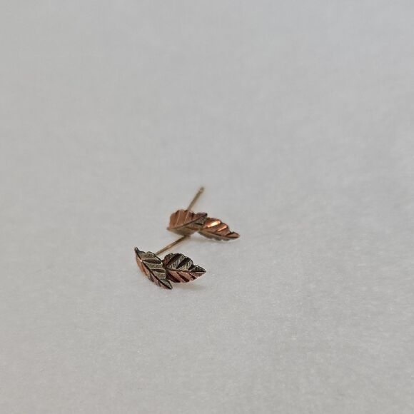 10k Solid Gold Earrings - Picture 1 of 5